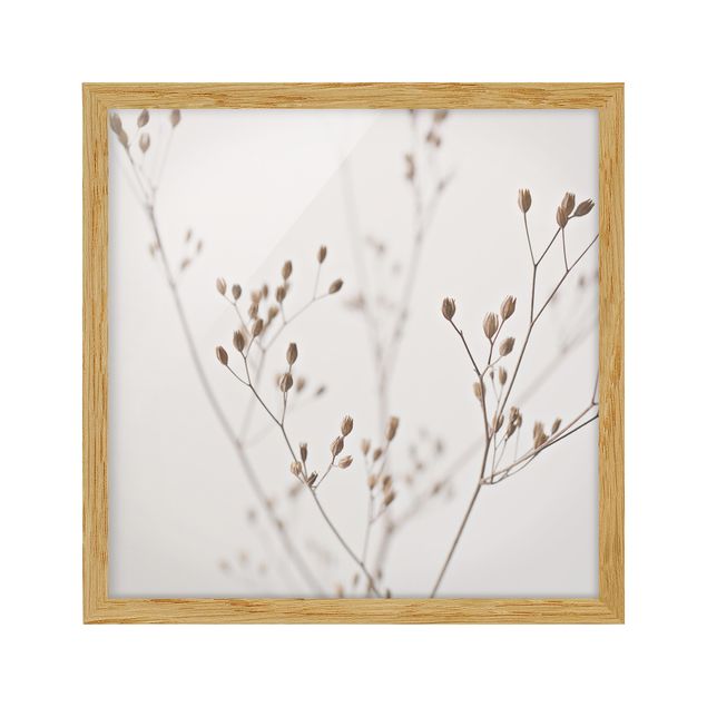 Poster con cornice - Delicate gemme su ramo di fiori selvatici
