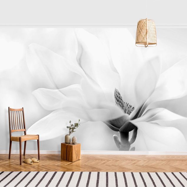Carta da parati magnolia Delicata fioritura di magnolia in bianco e nero