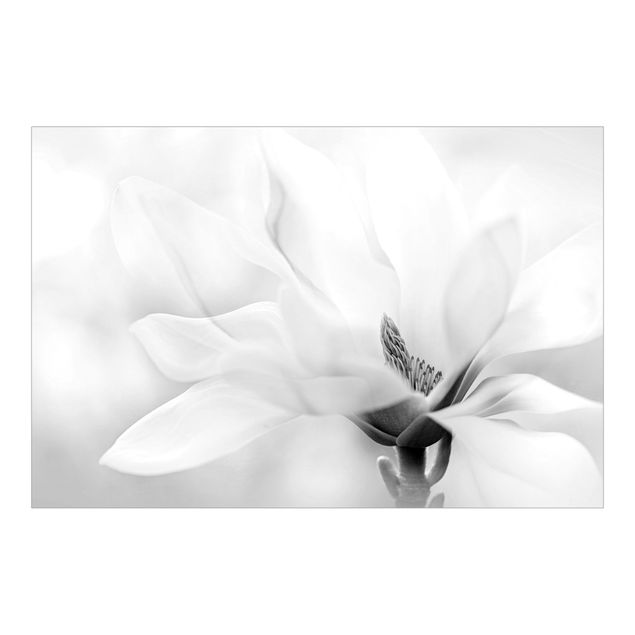 Carta da parati - Delicata fioritura di magnolia in bianco e nero