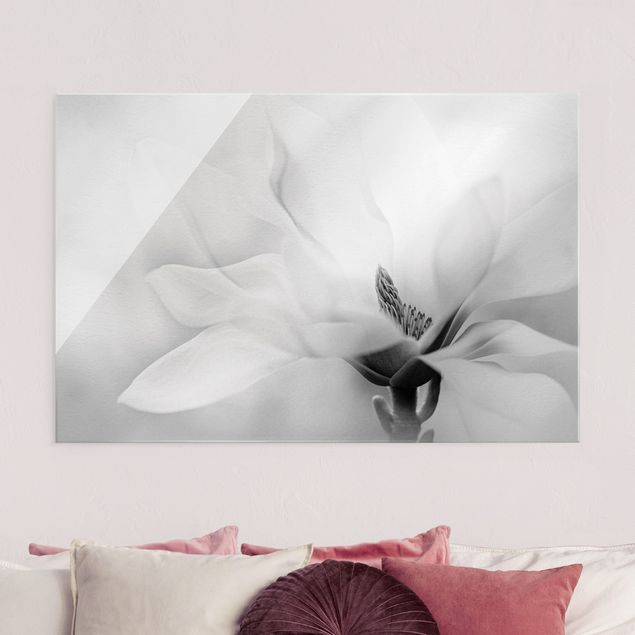 Lavagna magnetica vetro Delicata fioritura di magnolia in bianco e nero