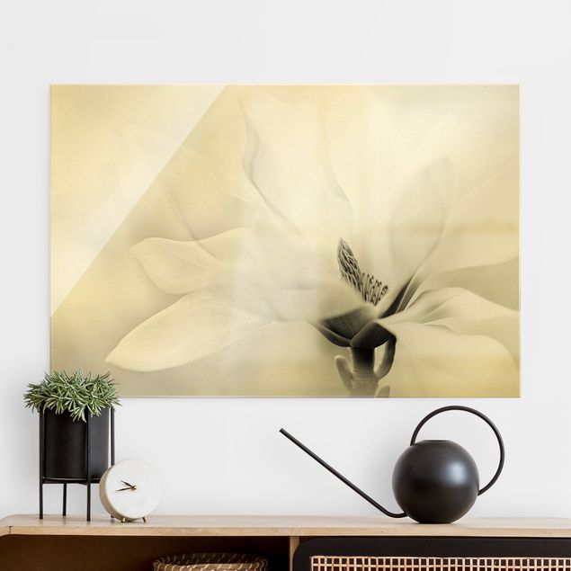 Lavagna magnetica vetro Delicata fioritura di magnolia in bianco e nero