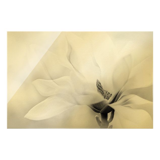 Quadro in vetro - Delicata fioritura di magnolia in bianco e nero - Formato orizzontale