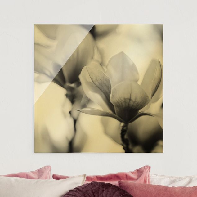 Lavagna magnetica vetro Delicati fiori di magnolia II