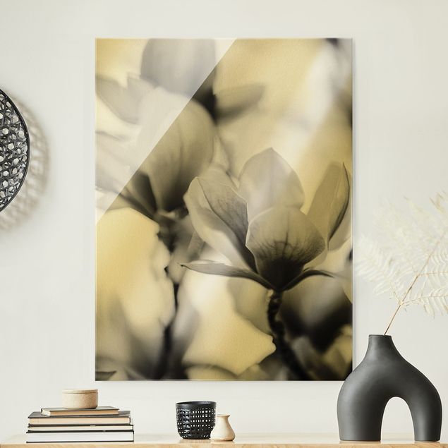 Lavagna magnetica vetro Delicati fiori di magnolia II
