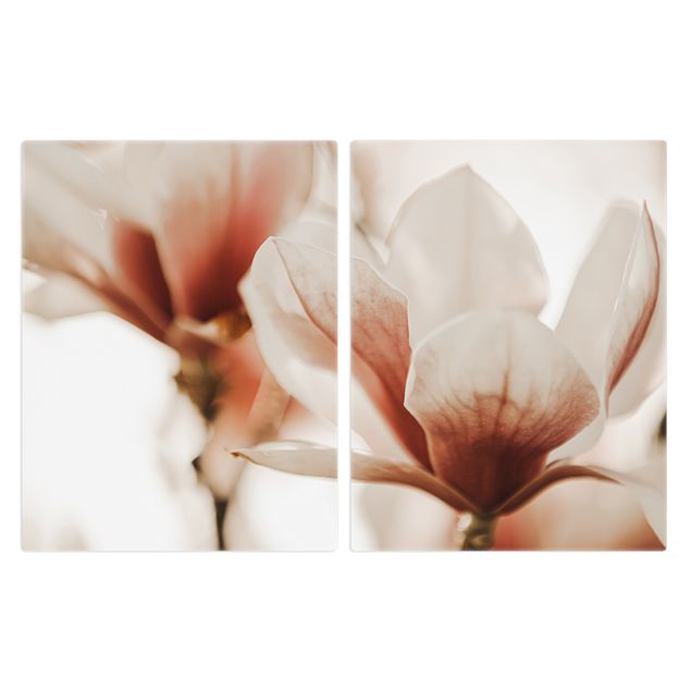 Coprifornelli - Fioriture di magnolia delicate nel gioco di luce