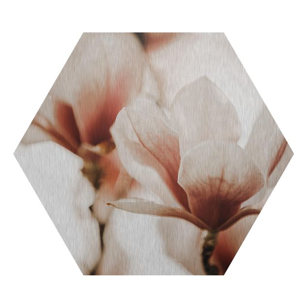 Esagono in Alluminio Dibond - Fioriture di magnolia delicate nel gioco di luce