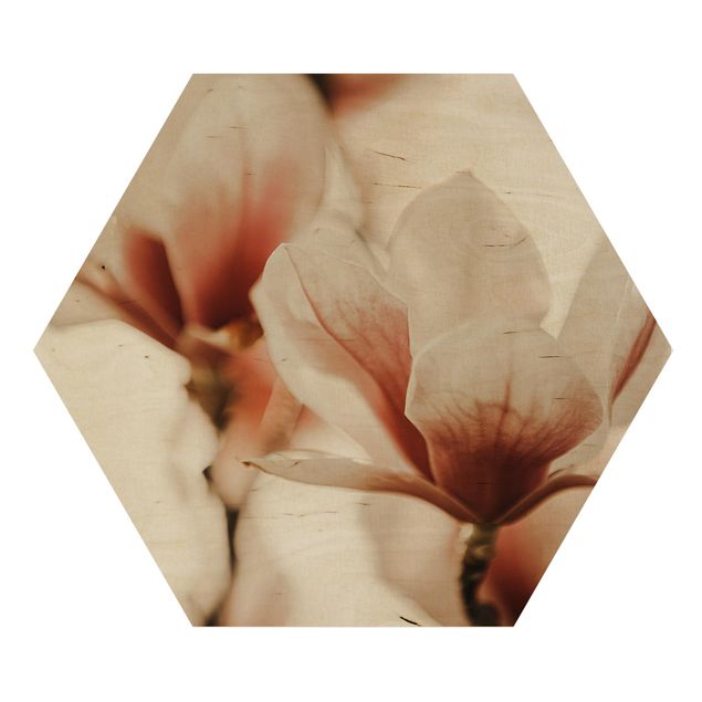 Esagono in legno - Fioriture di magnolia delicate nel gioco di luce