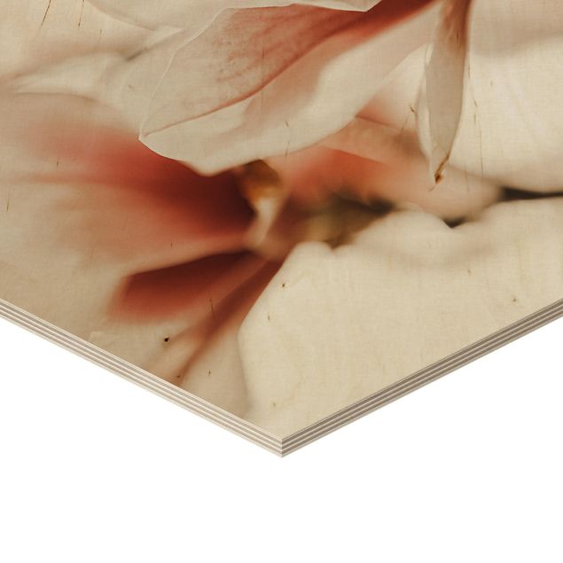 Esagono in legno - Fioriture di magnolia delicate nel gioco di luce