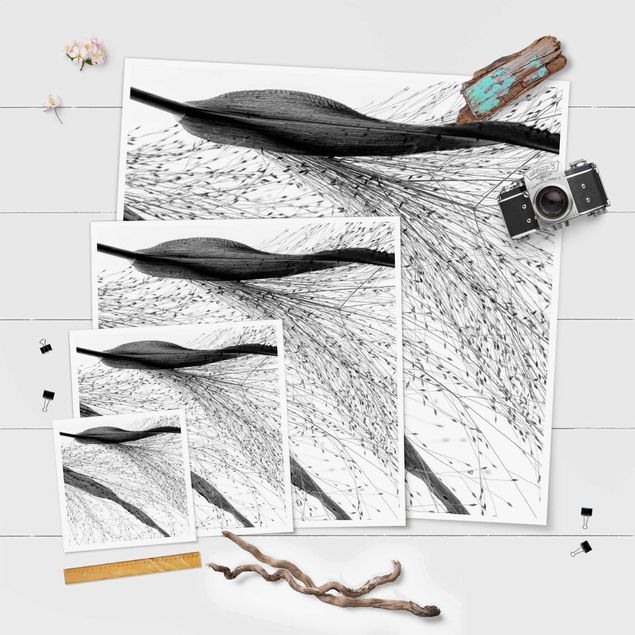 Poster - Canneto delicato con sottili gemme in bianco e nero