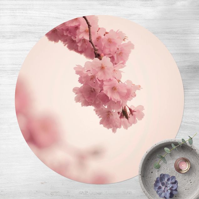 Tappeti per esterni Fiore di primavera rosa pallido con bokeh