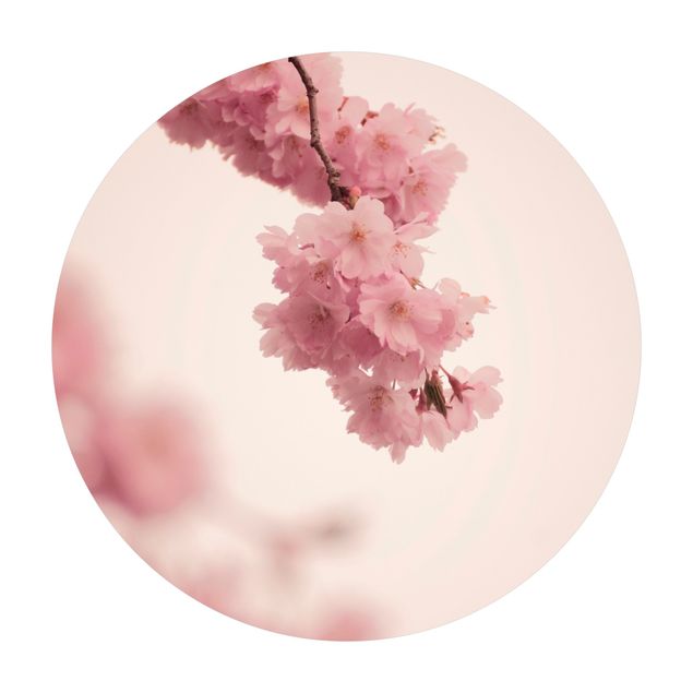 Tappeti bagno grandi Fiore di primavera rosa pallido con bokeh