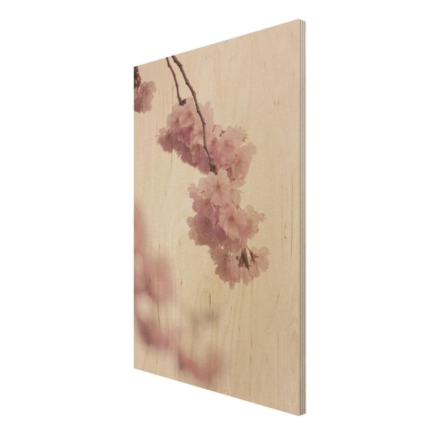 Stampa su legno - Fiori primaverili delicati rosati con effetto Bokeh
