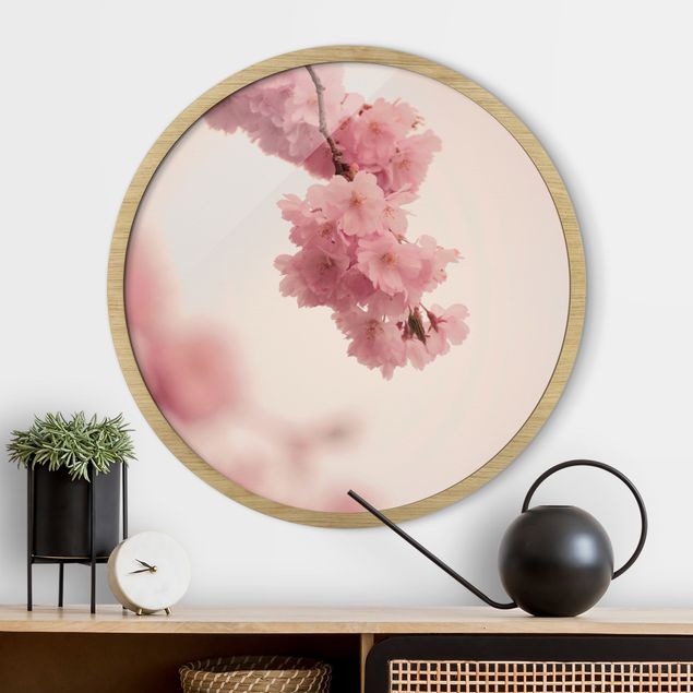Poster con cornice rotonda Fiore di primavera rosa pallido con bokeh