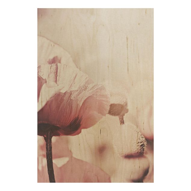 Stampa su legno - Papaveri delicati rosati con gocce d'acqua