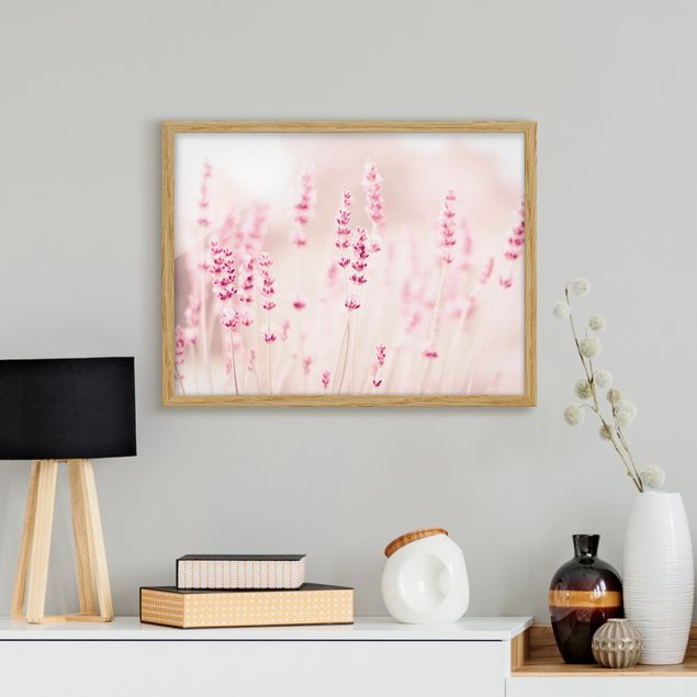 Poster con cornice - Lavanda delicata rosata
