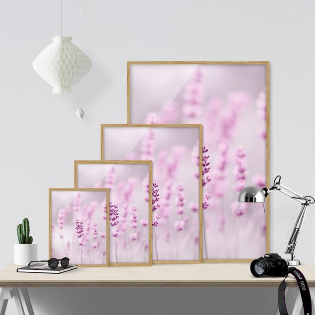 Poster con cornice - Lavanda delicata violetta