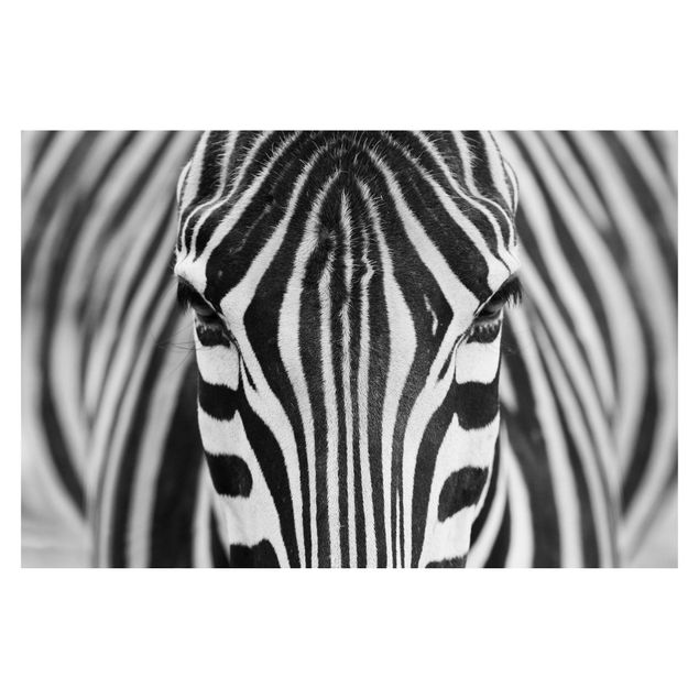 Carta da parati - Zebra Look