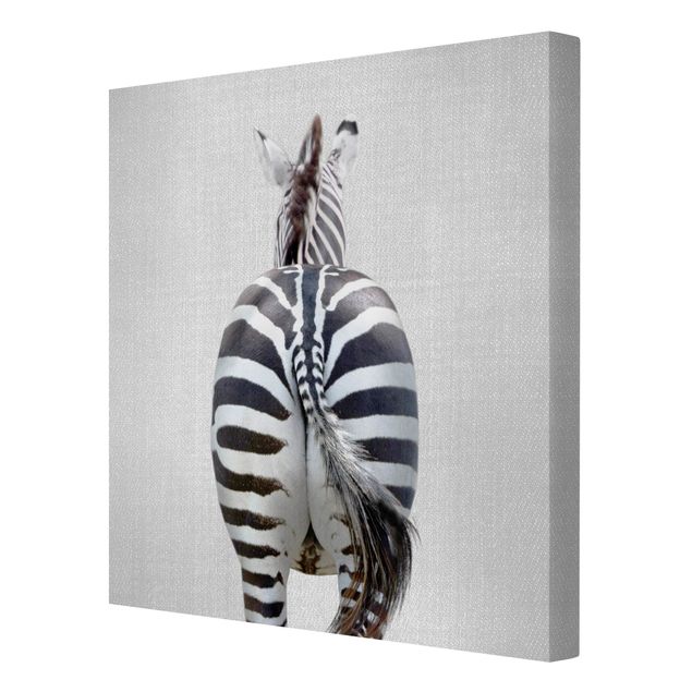 Gal Design quadri Zebra da dietro