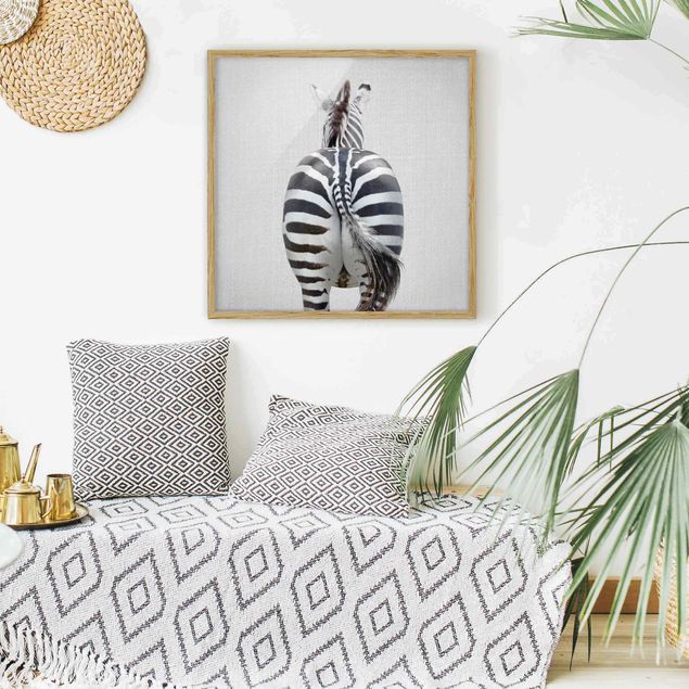 Poster con cornice - Zebra da dietro