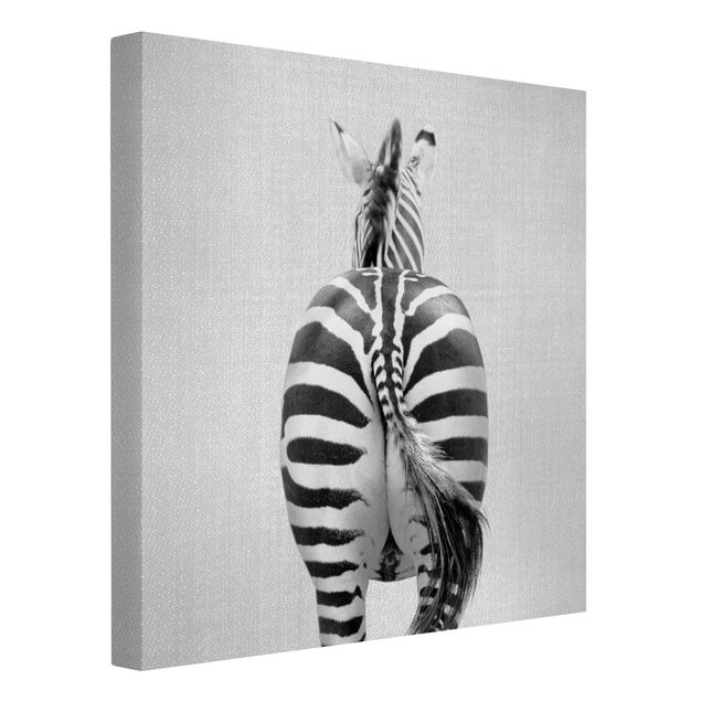 Quadri su tela animali Zebra da dietro bianco e nero