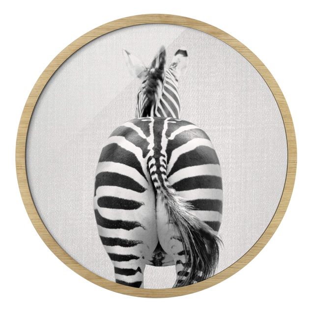 Quadro rotondo incorniciato - Zebra da dietro Black White