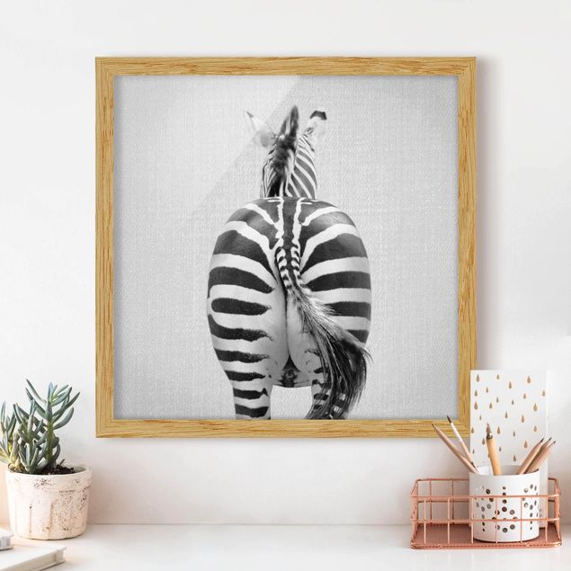 quadri con animali Zebra da dietro bianco e nero