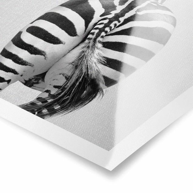 Poster riproduzione - Zebra da dietro Black White