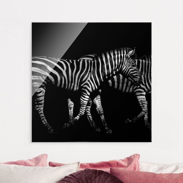 Quadri animali Zebra nel buio