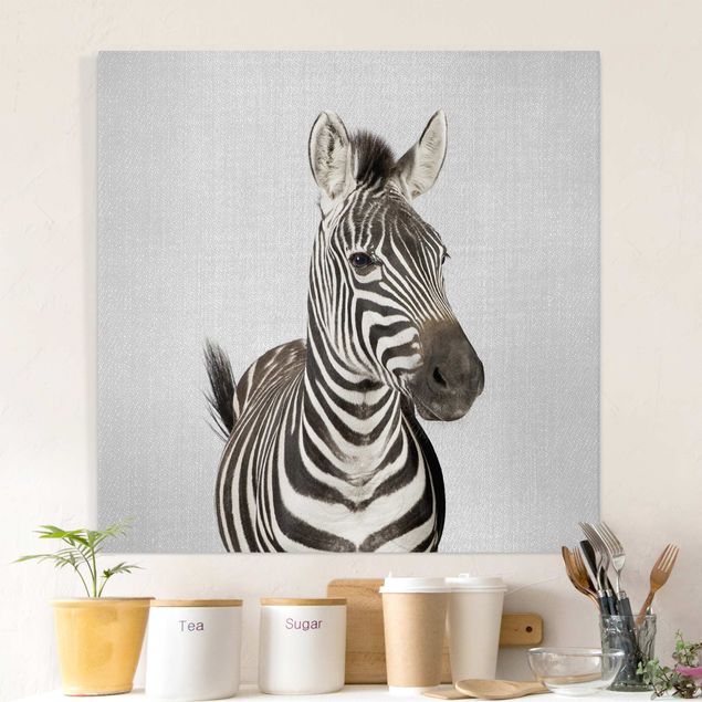 quadri con animali Zebra Zilla