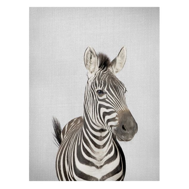 Quadri moderni per soggiorno Zebra Zilla