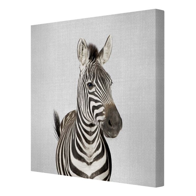 Gal Design quadri Zebra Zilla