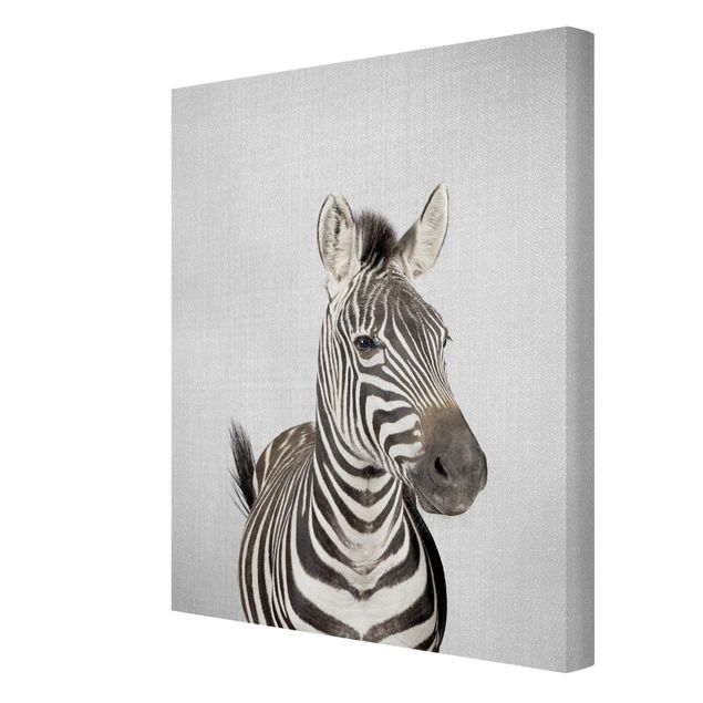 Gal Design quadri Zebra Zilla