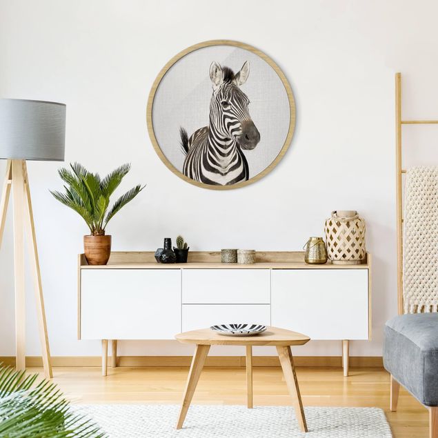 Poster con cornice rotonda Zebra Zilla