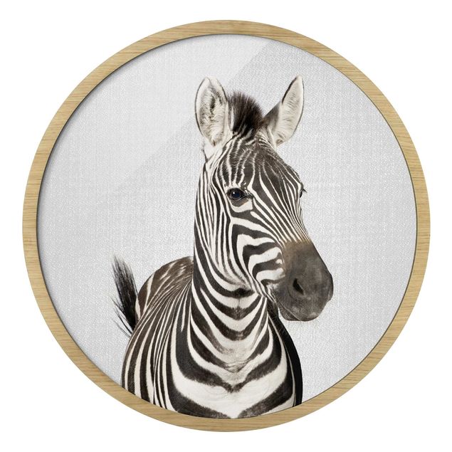 Quadro rotondo incorniciato - Zebra Zilla