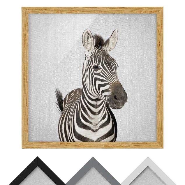 Poster con cornice - Zebra Zilla