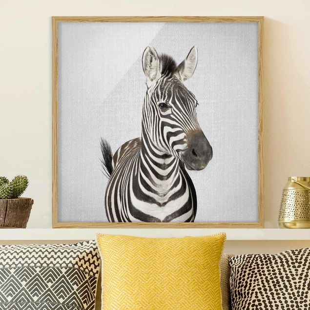 stampe animali Zebra Zilla
