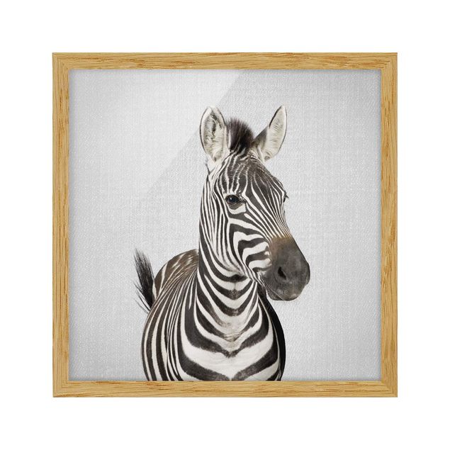 Poster con cornice - Zebra Zilla