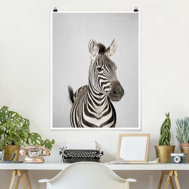 stampe animali Zebra Zilla