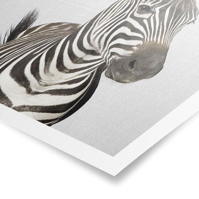 Poster riproduzione - Zebra Zilla