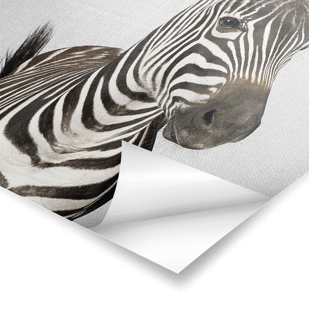 Poster riproduzione - Zebra Zilla