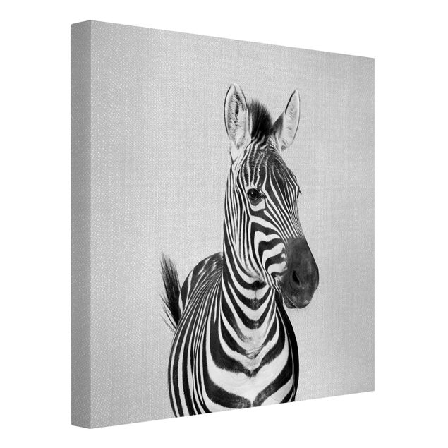 Quadro su tela animali Zebra Zilla Bianco e Nero
