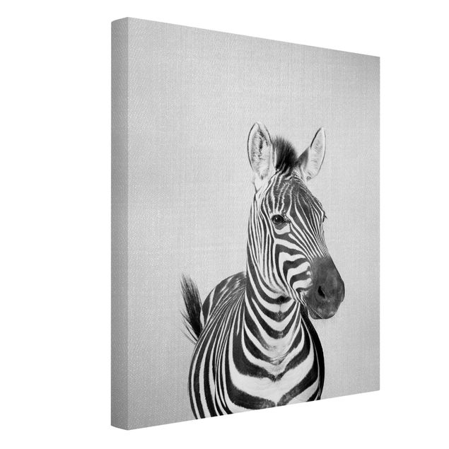 Stampe su tela animali Zebra Zilla Bianco e Nero