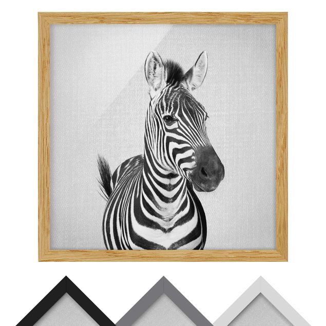Poster con cornice - Zebra Zilla in bianco e nero