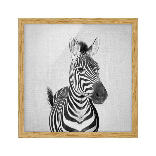 Poster con cornice - Zebra Zilla in bianco e nero