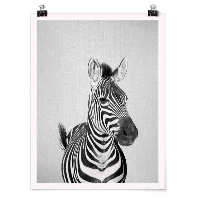 Poster riproduzione - Zebra Zilla in bianco e nero