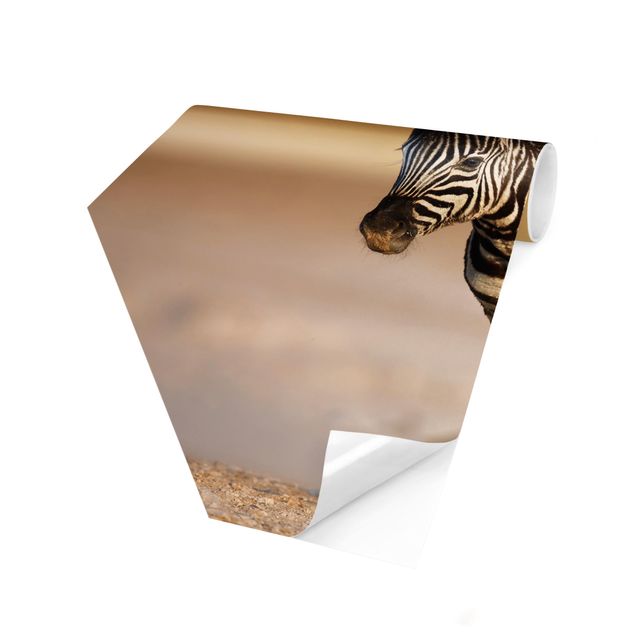 Carta da parati esagonale adesiva con disegni - Cucciolo di zebra