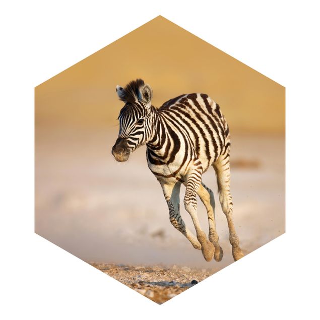 Carta da parati esagonale adesiva con disegni - Cucciolo di zebra