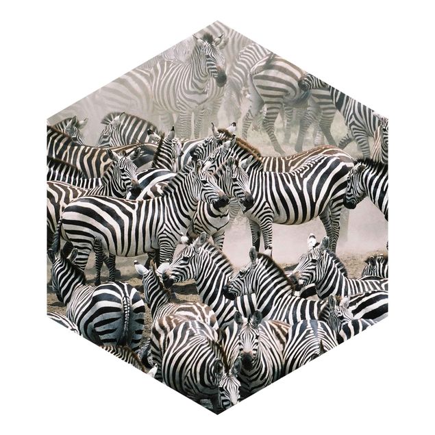 Carta da parati esagonale adesiva con disegni - Mandria di zebre