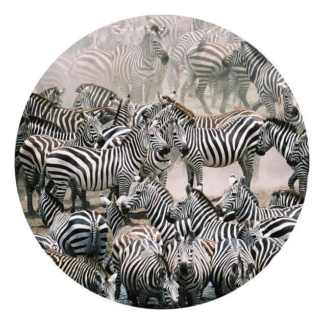 Carta da parati rotonda autoadesiva - Zebra mandria