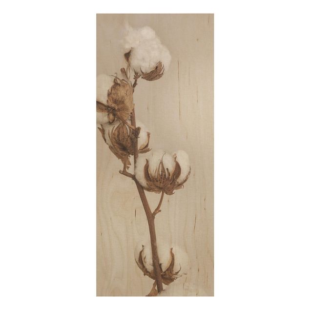 Stampa su legno - Fragile ramo di cotone